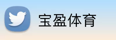 宝盈体育 Logo